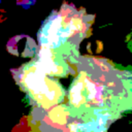 前世天桥冻死被野狗分食，却没想到意外转世重生回到了五零